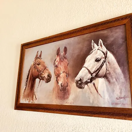 Cavaletti Vendeghaz * Lajoskomárom